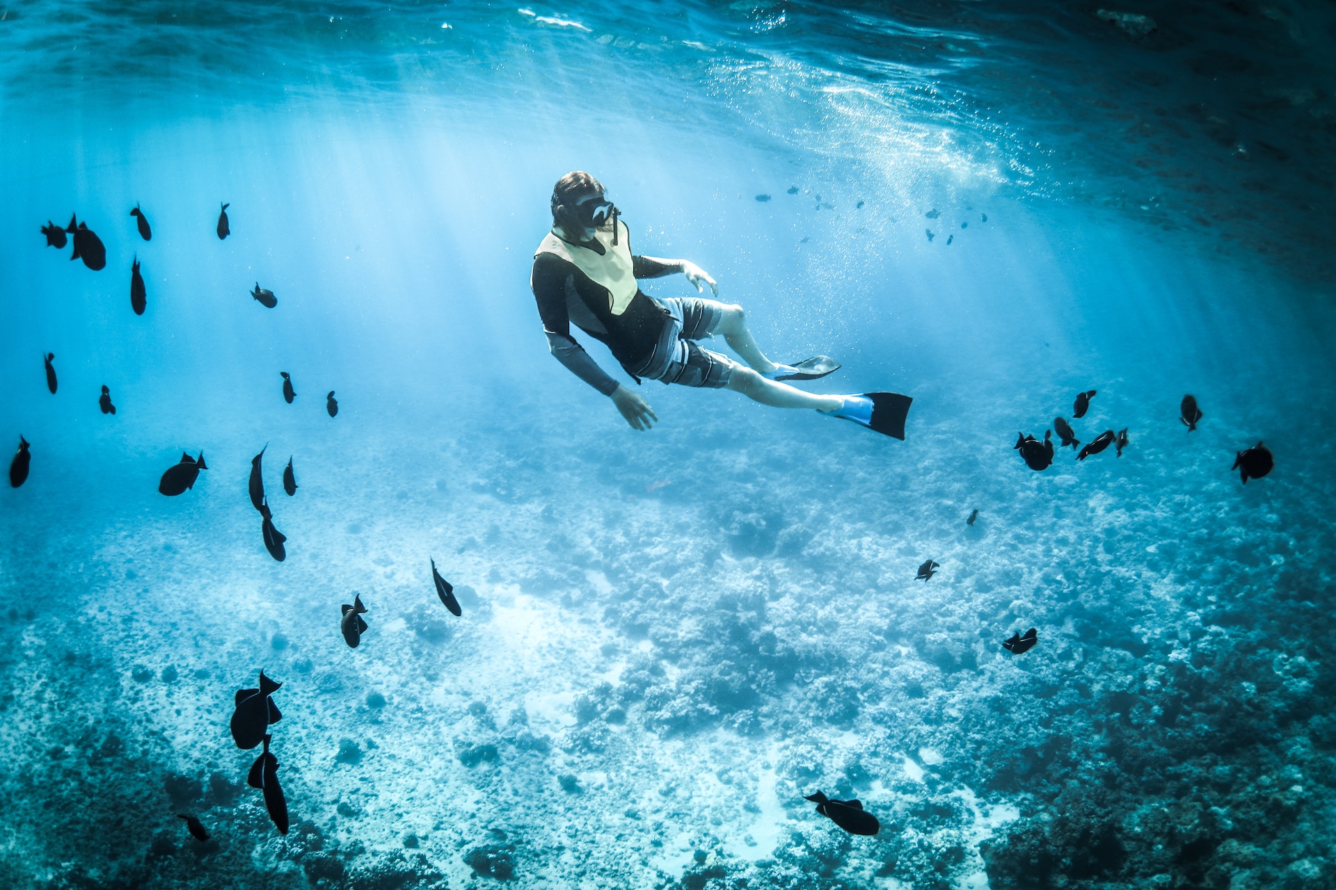 Best Spots To Snorkel in Ibiza